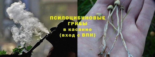 сатива Няндома