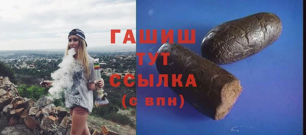 сатива Няндома