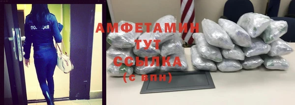сатива Няндома