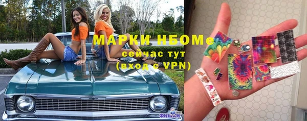 сатива Няндома