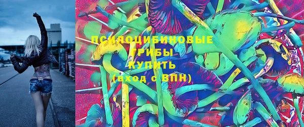 спайс Нягань