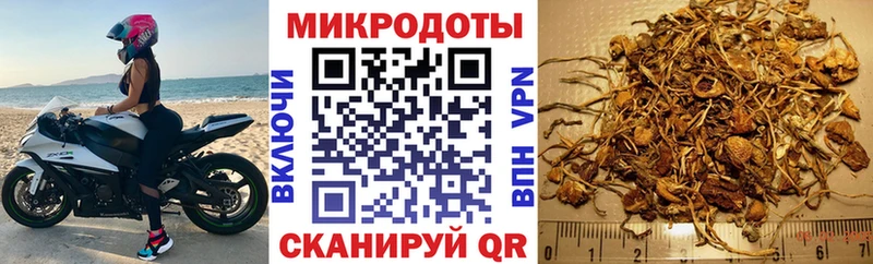 Псилоцибиновые грибы GOLDEN TEACHER Мосальск