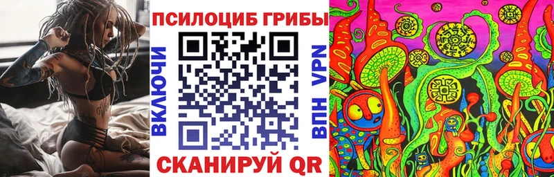 hydra как зайти  купить наркоту  Мосальск  Галлюциногенные грибы Magic Shrooms 